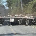 Bee Truck Crash