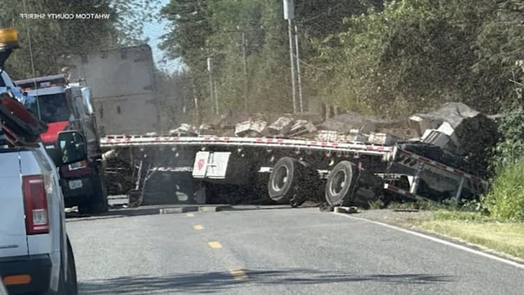 Bee Truck Crash Un million d’abeilles sèment le chaos lorsqu’un essaim recouvre une autoroute très fréquentée 2026